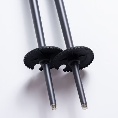 7. ALPINE SKI II Stöcke