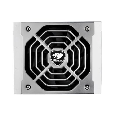 2. COUGAR POLAR X2 1050W ATX3.1/80 Plus Platinum/Modular Netzteil