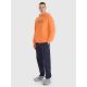 4. Herren-Sweatshirt mit Kapuze, offen, 4F 4FRSS25TSWSM2201-70S