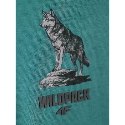 6. Kapuzenpullover für Jungen, Größe 4F 4FJKAW26TSWSM3153-46S