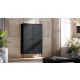 3. PALAZZO BIS Vitrine 100x39x166 schwarz matt