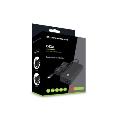 4. Conceptronic OZUL03BUK Netzteil/Wechselrichter intern 100W Schwarz