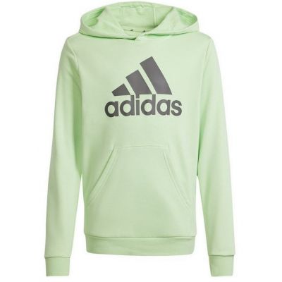 Adidas Big Logo Hoodie Jr IS2591 Sweatshirt