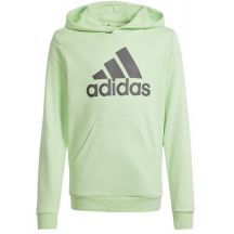 Adidas Big Logo Hoodie Jr IS2591 Sweatshirt