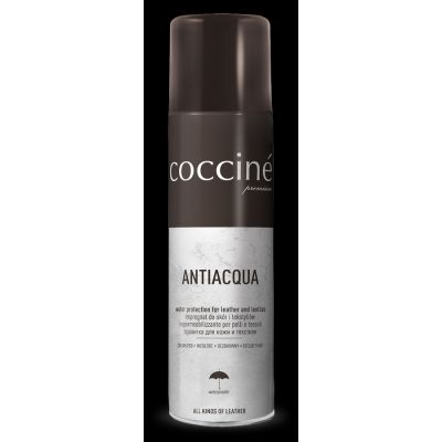 2. Coccine Lederimprägnierspray DA0265