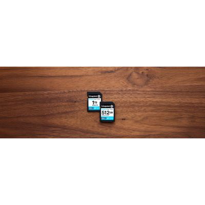 5. Kingston Canvas Go Plus SDG4/1TB Speicherkarte (1 TB; Klasse U3, V30; Speicherkarte)