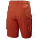 12. Helly Hansen Move Qd Shorts 2.0 M 53977 308