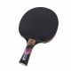 27. Conrilleau Excell Carbon 3000 Tischtennisschläger