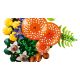 5. LEGO Botanische Kollektion 11505 - Wildpilze