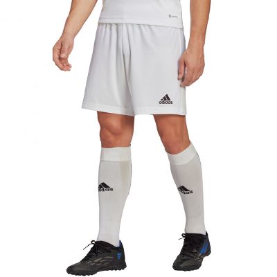 4. adidas Entrada 22 M HG6295 Shorts
