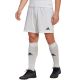 4. adidas Entrada 22 M HG6295 Shorts