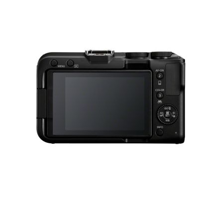 8. Canon 24,2-Megapixel-Kamera mit Bildstabilisierung, ISO 32000, WLAN, APS-C-Sensor, Schwarzweiß