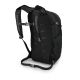 4. Osprey Daylite Plus Rucksack Schwarz Polyethylenterephthalat (PET)