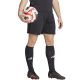 3. adidas Fortore 23 M IK5736 Shorts