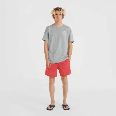 4. O'Neill Vert 16'' Badeshorts M 92800615036