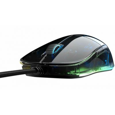 3. Endgame Gear XM1 RGB Gaming-Maus, rechte Seite, USB Typ-A, optisch, 16000 DPI