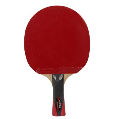 3. Tischtennisschläger Aurora PRO 4* SG 4002