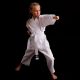 10. Karate-Kimono für Kinder + gratis Gürtel - DBX BUSHIDO ARK-3102 120 cm