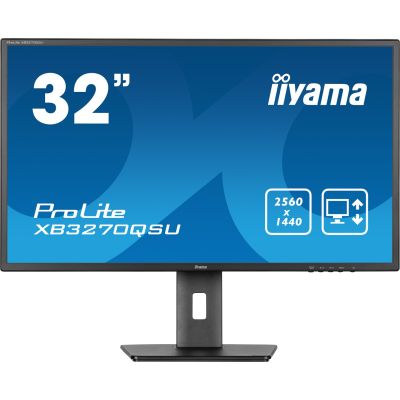 17. IIYAMA LED 31,5"-Monitor
