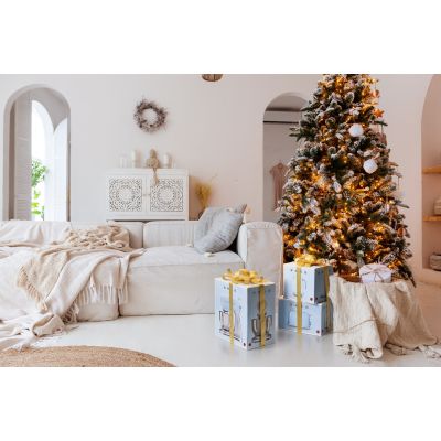 11. SMEG skrudintuvas TSF02RDEU