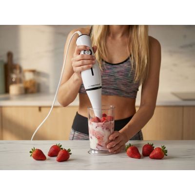 11. Esperanza Frappé Stabmixer EKM001K (250W; schwarz)