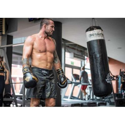 18. 10oz Boxhandschuhe - Aureos - Valor Series