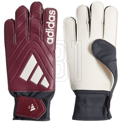 adidas Copa Club M IQ4017 Torwarthandschuhe