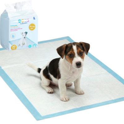 HYGIENISCHE TRAININGSPLATTE FÜR HUNDE, 20-TEILIGES HUNDEKOLLEKTION-SET