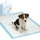 HYGIENISCHE TRAININGSPLATTE FÜR HUNDE, 20-TEILIGES HUNDEKOLLEKTION-SET