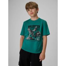 Normales bedrucktes Jungen-T-Shirt 4F 4FJKAW26TTSHM4455-46S