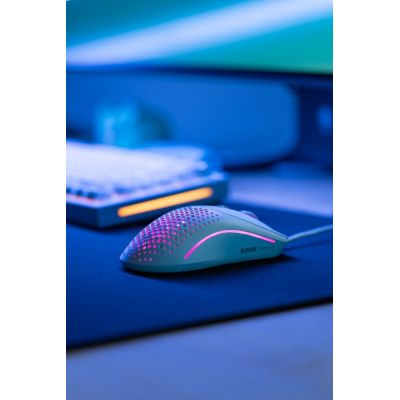 7. Glorious Model O 2 Weiße Maus