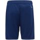 2. Adidas Tiro 23 League Training Jr HS0321 Shorts