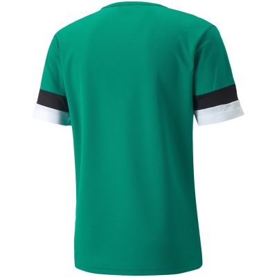 6. Puma teamRise Trikot M 704932 05