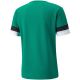6. Puma teamRise Trikot M 704932 05