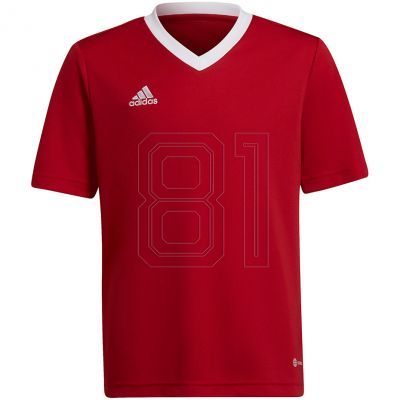Adidas Entrada 22 Jsy Jr T-Shirt H57496