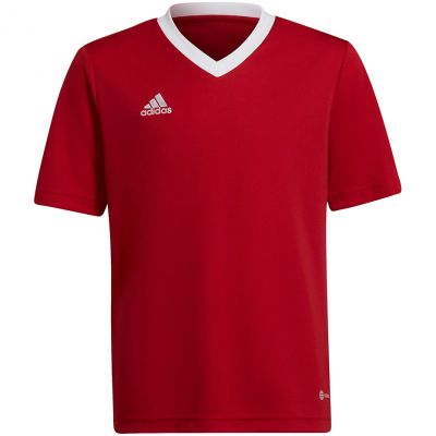 Adidas Entrada 22 Jsy Jr T-Shirt H57496