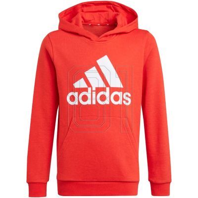 4. Adidas Essentials Big Logo Hoodie Jr GN4037 Sweatshirt
