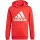 4. Adidas Essentials Big Logo Hoodie Jr GN4037 Sweatshirt