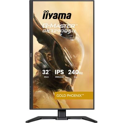 13. IIYAMA Monitor 80,0 cm (31,5") GB3290QSU-B1 16:9 2xHDMI+DP+2xUSB-C