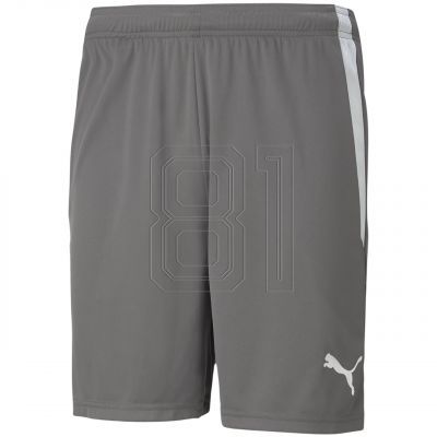 Puma teamLIGA M 704924 13 Shorts