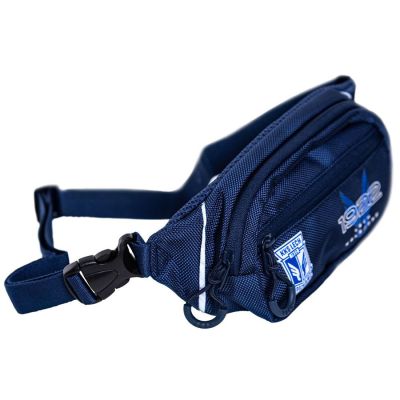 3. Kleine Nierentasche 1922 Wings BS Marineblau