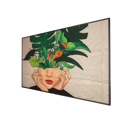 4. PHILIPS D-Line 65BDL4511D 165,1 cm (65") 24/7/UHD (Speditionsversand)