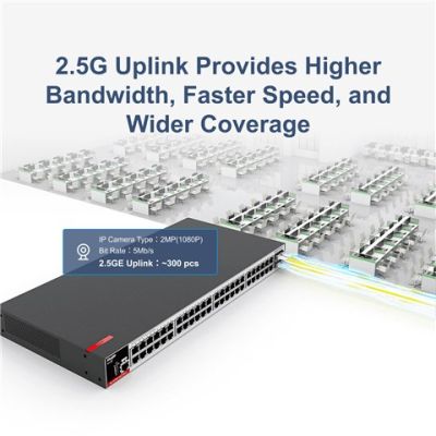 2. Ruijie L2+ Managed Switch | 48 x 1-Gbit-Ports + 4 x 2,5-Gbit-SFP-Ports | 2 Lüfter, 1 integriertes Netzteil | Rackmontage