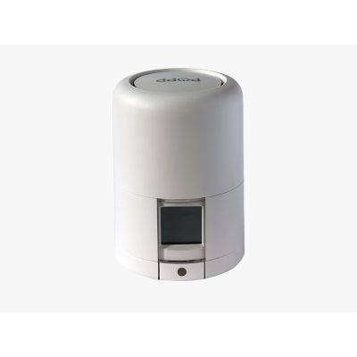 2. Popp POPZ701721 Thermostatventil für Heizkörper. Geeignet für den Innenbereich.