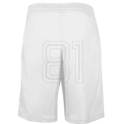 3. Colo Batch M ColoBatch11 Basketballshorts