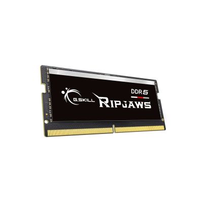 2. G.Skill Ripjaws F5-4800S4039A16GX1-RS Speichermodul 16 GB 1 x 16 GB DDR5 262-Pin SO-DIMM