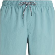 Herren-Badeshorts PROTEST Faster, türkis
