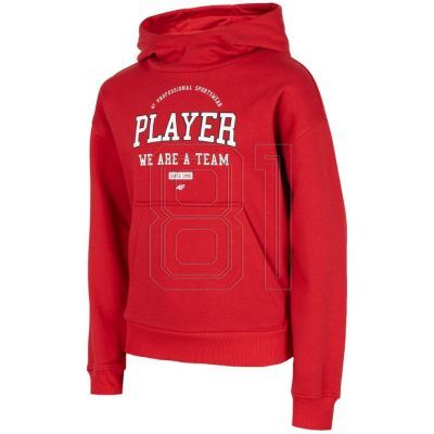 Sweatshirt 4F Jr HJZ22-JBLM006 62S