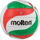 Molten V5M1900 Volleyball