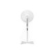 Adler AD 7305 Standventilator